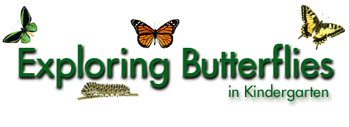 Exploring Butterflies Graphic